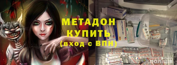 шишки Архангельск