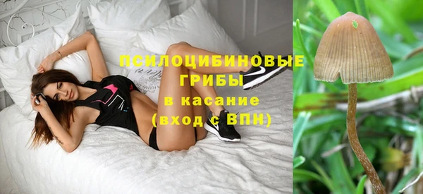 МДМА Арсеньев