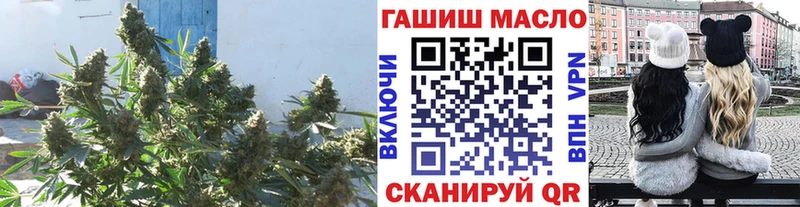 KRAKEN зеркало Жигулёвск ТГК гашишное масло